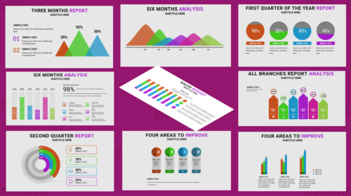 Sales Report Infographics